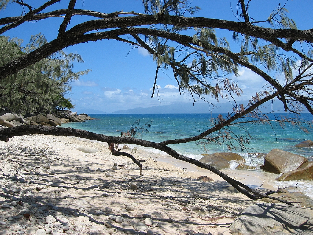 183 Fitzroy Island.jpg